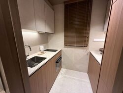 Upperhouse At Orchard Boulevard (D10), Apartment #520679241